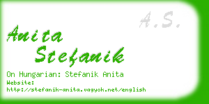 anita stefanik business card